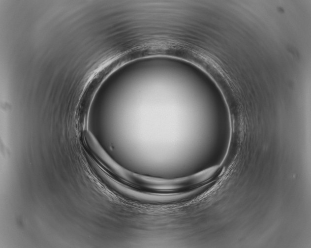 X0000091101018200708061415