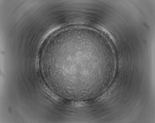 X0000091101019200708061415