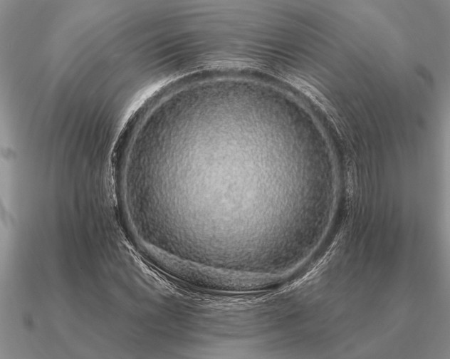 X0000091101022200708061415