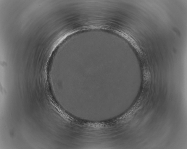 X0000091101023200708061415