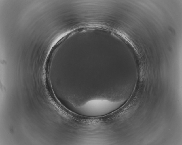 X0000091101024200708061415