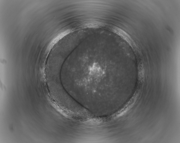 X0000091101026200708061415