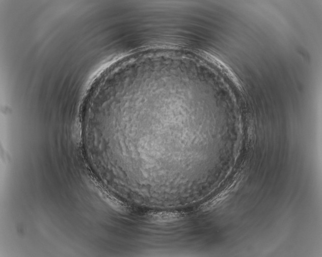 X0000091101027200708061415