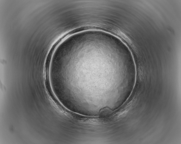 X0000091101028200708061415