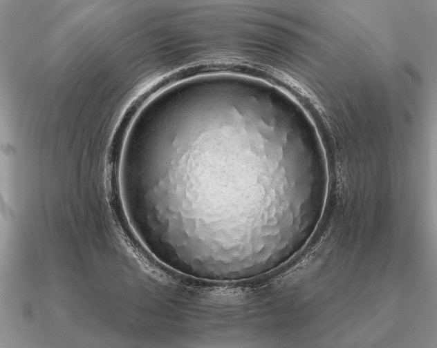 X0000091101029200708061415