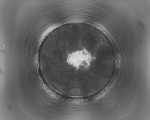 X0000091101030200708061415