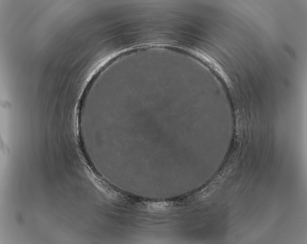 X0000091101031200708061415