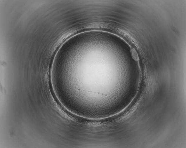 X0000091101033200708061415