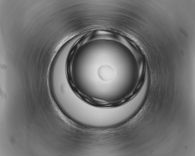 X0000091101034200708061415