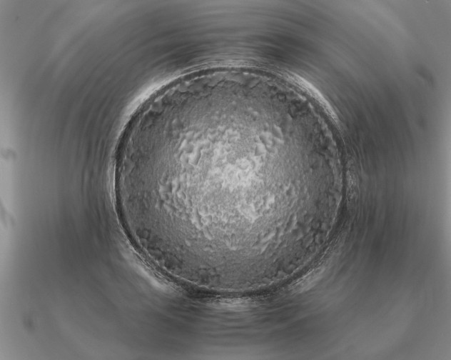 X0000091101035200708061415