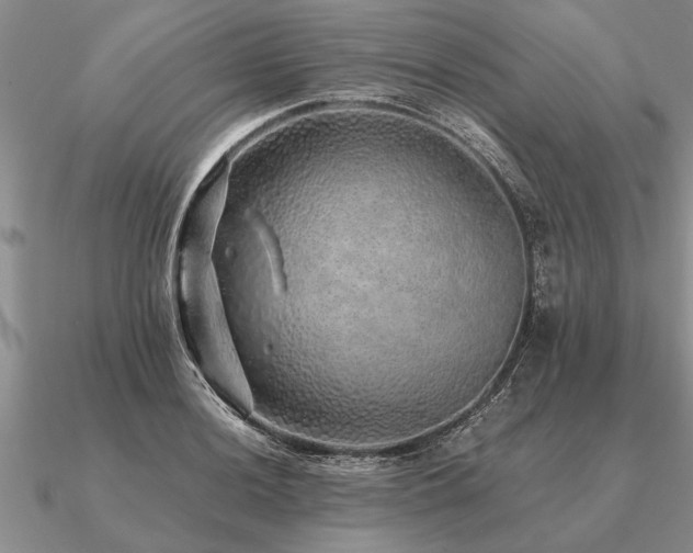 X0000091101036200708061415