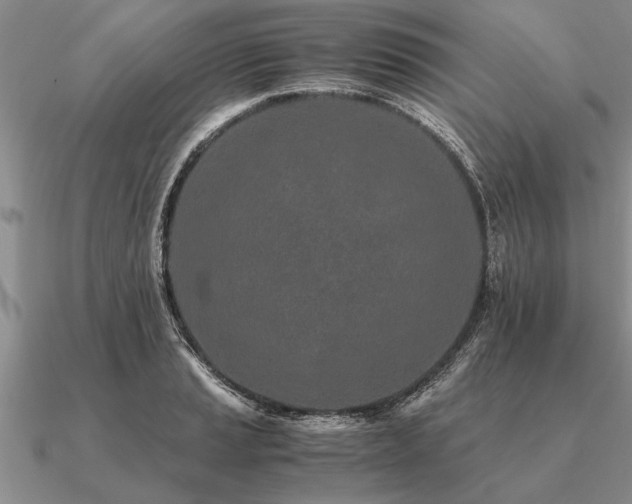 X0000091101037200708061415