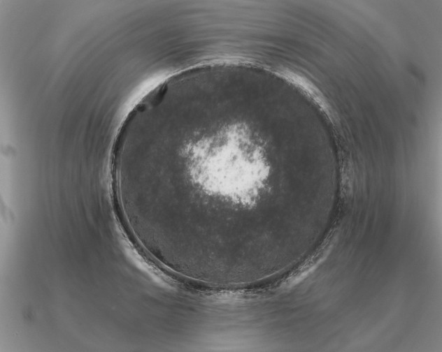 X0000091101038200708061415