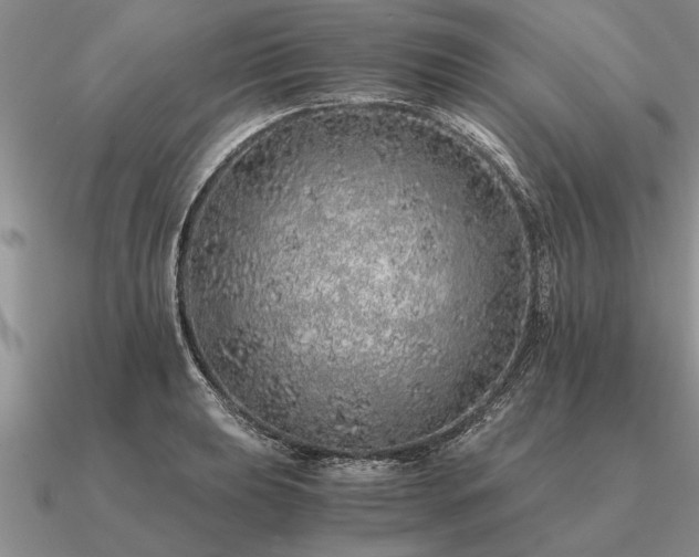 X0000091101039200708061415