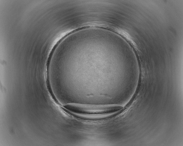 X0000091101040200708061415