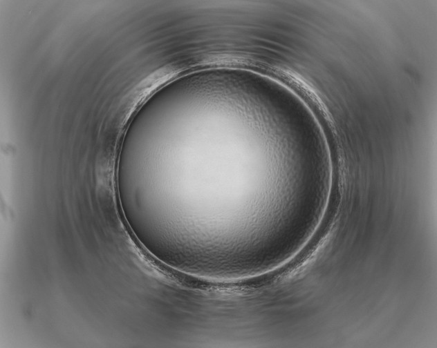 X0000091101041200708061415