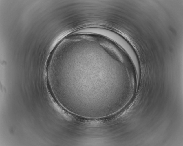 X0000091101042200708061415