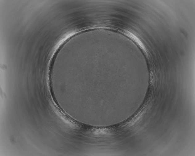 X0000091101043200708061415