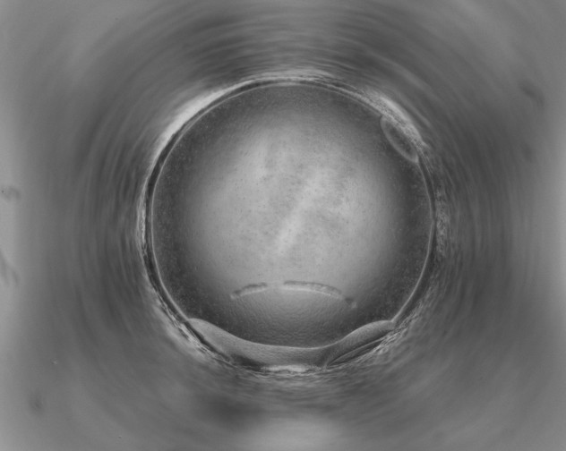 X0000091101044200708061415