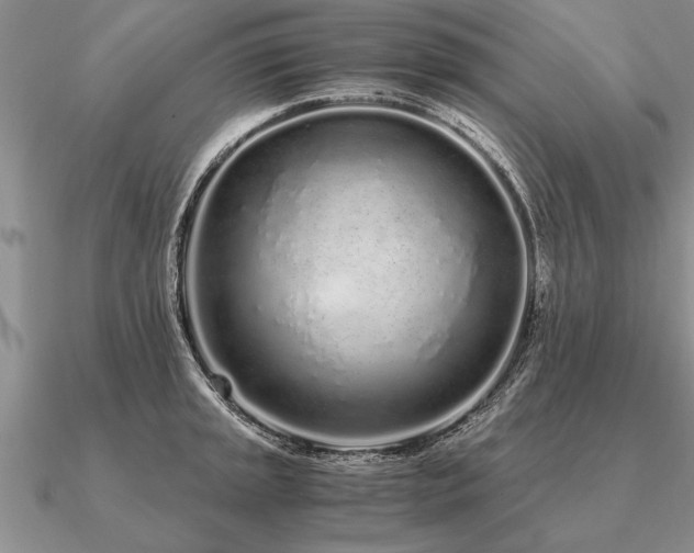 X0000091101045200708061415