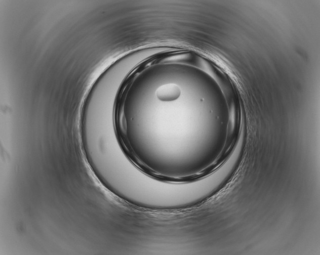 X0000091101046200708061415