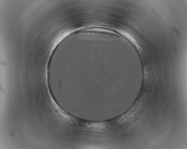 X0000091101047200708061415