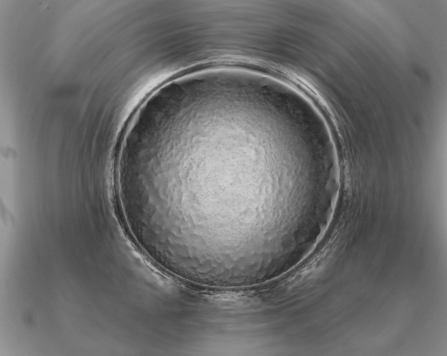 X0000091101048200708061415