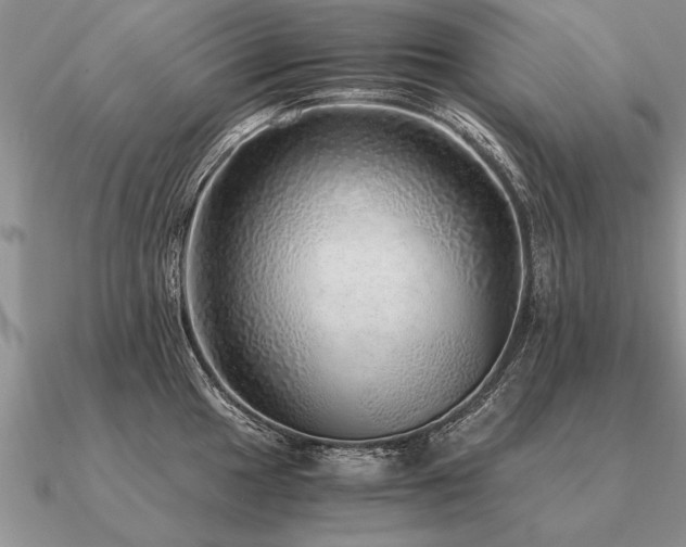 X0000091101049200708061415