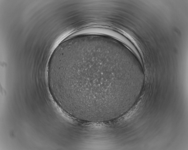 X0000091101050200708061415