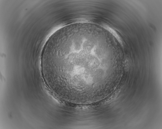 X0000091101051200708061415