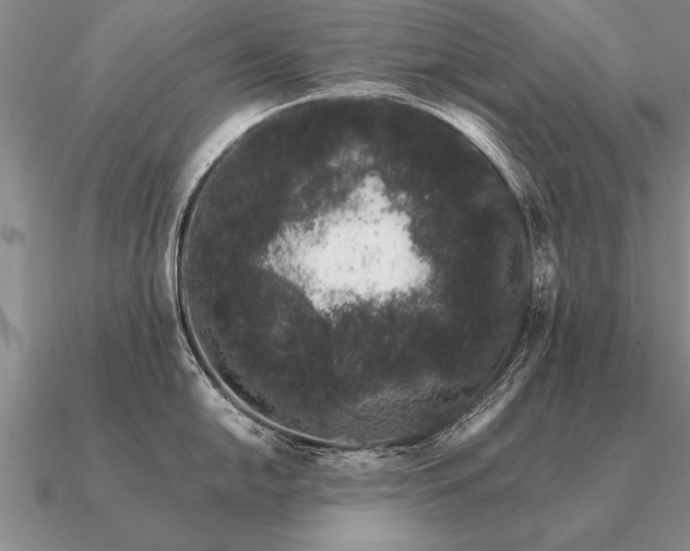 X0000091101054200708061416