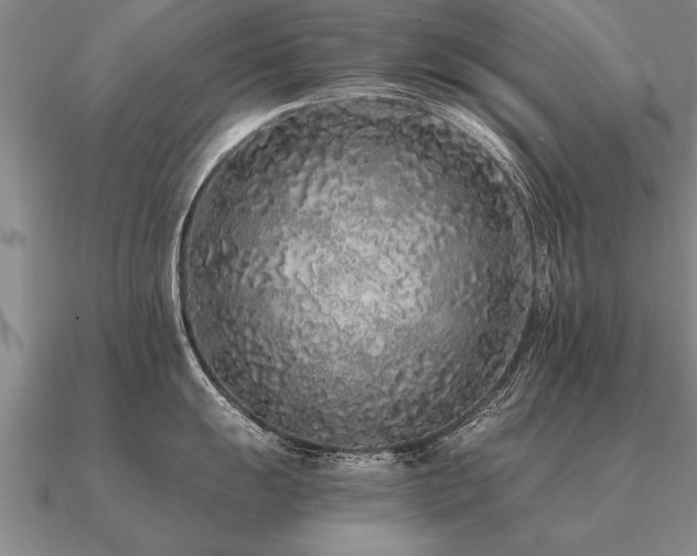 X0000091101055200708061416