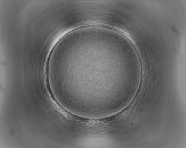 X0000091101056200708061416