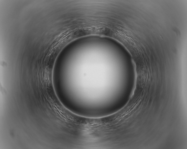 X0000091101058200708061415