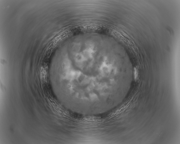 X0000091101059200708061415