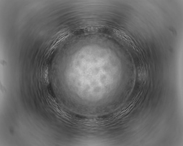 X0000091101060200708061415