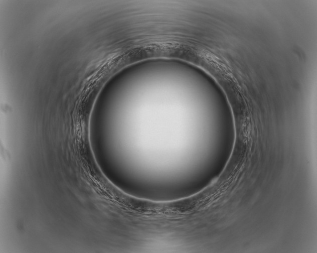 X0000091101061200708061415