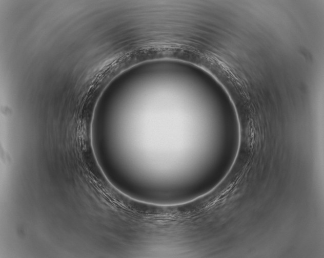 X0000091101062200708061415