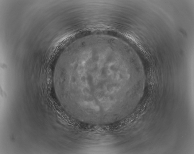 X0000091101063200708061415