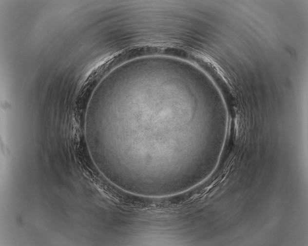 X0000091101064200708061415