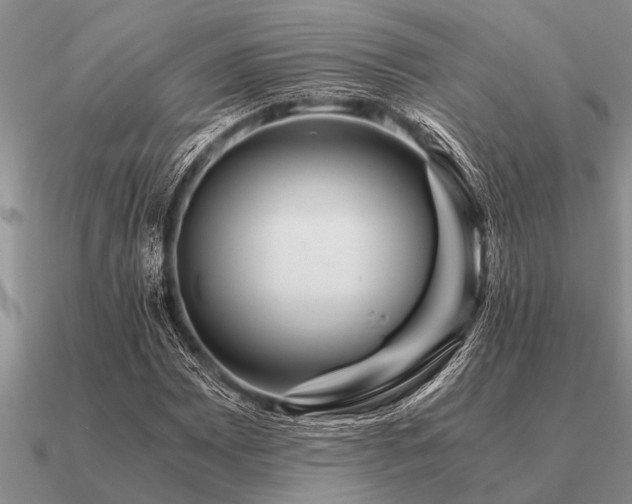 X0000091101065200708061415