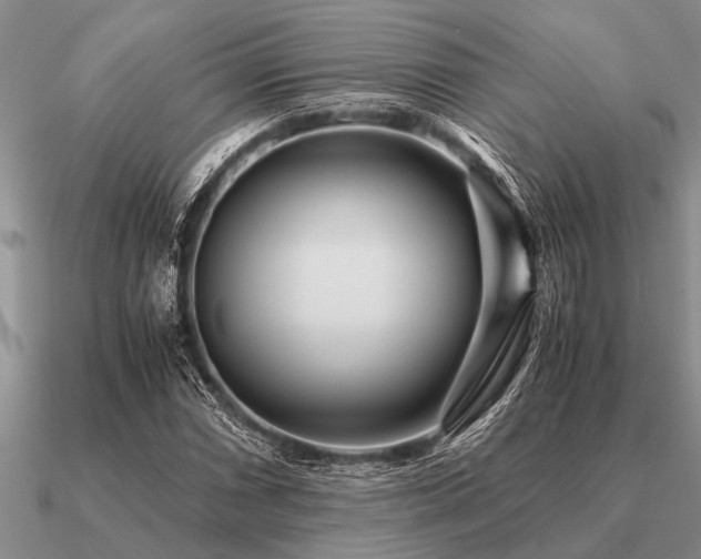 X0000091101066200708061415