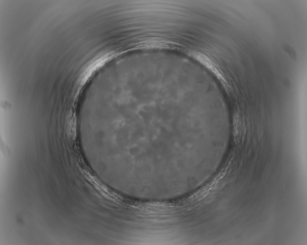 X0000091101067200708061415