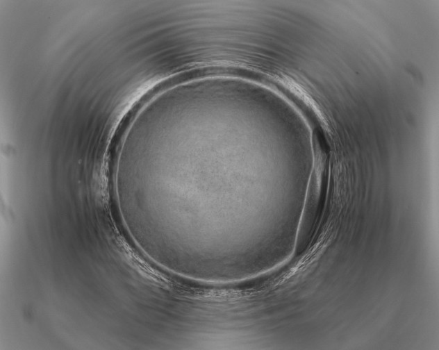 X0000091101068200708061415