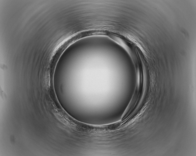 X0000091101069200708061415