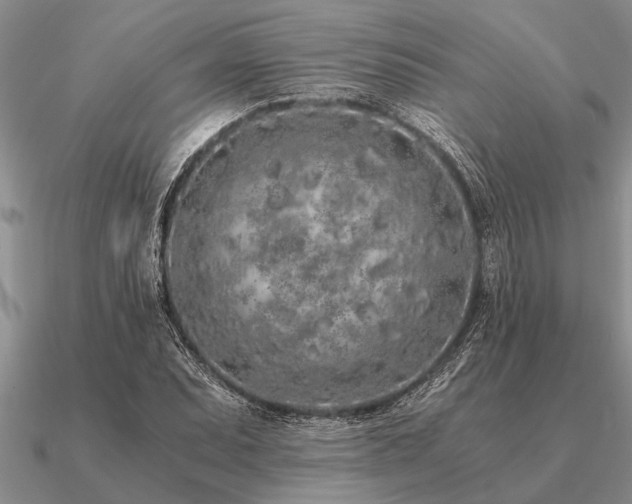 X0000091101071200708061415