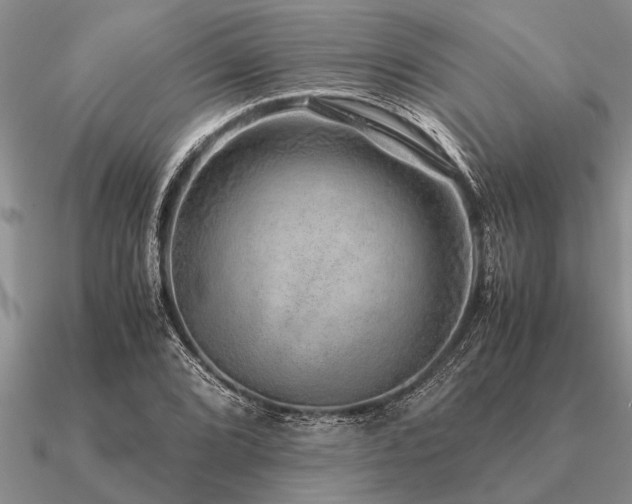 X0000091101072200708061415