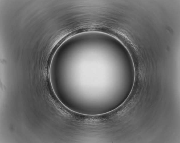 X0000091101073200708061415