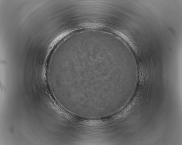 X0000091101074200708061415