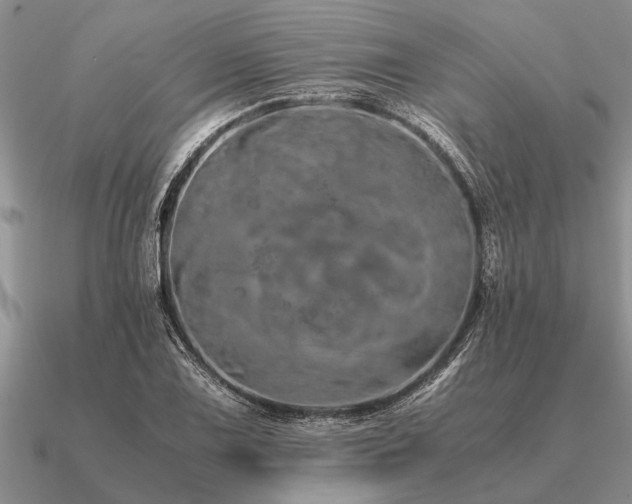 X0000091101075200708061415